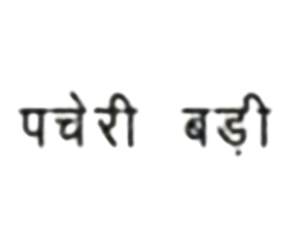 Singhania University Celebrates Hindi Diwas with National Poets’ Conference