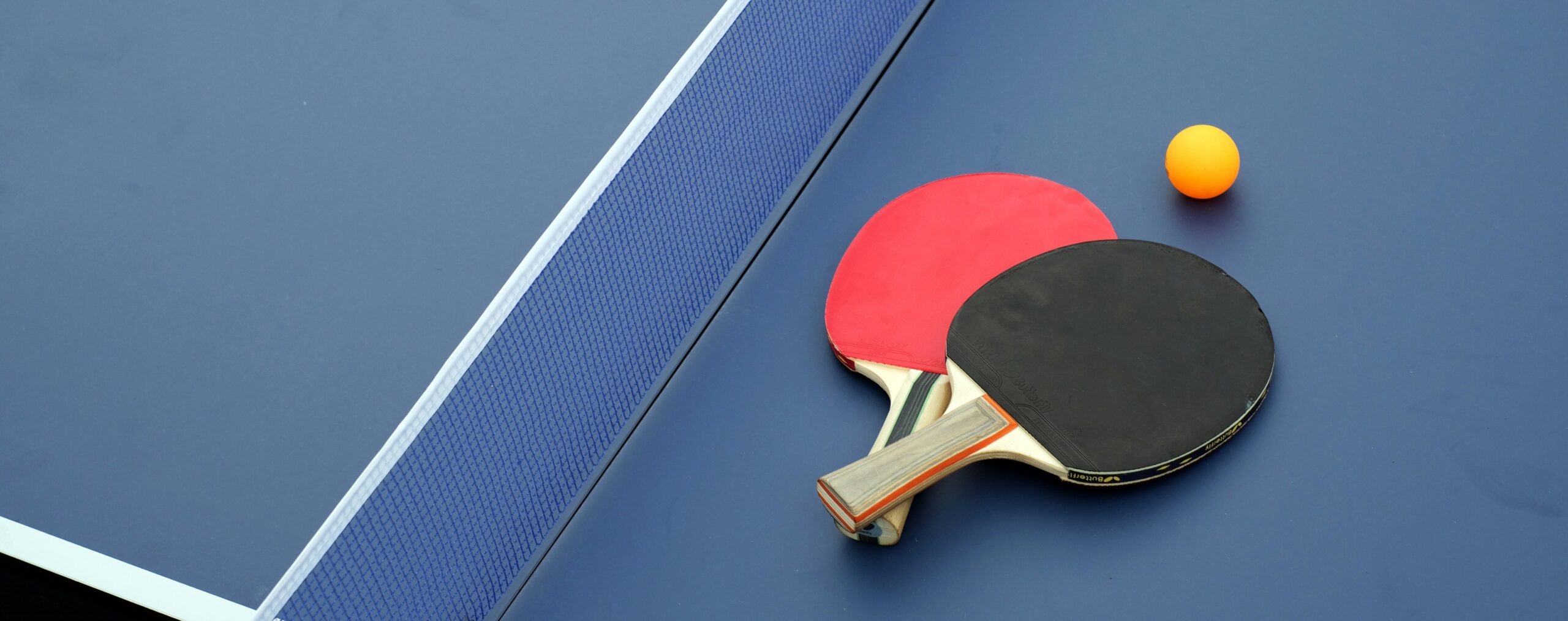 table tennis Image