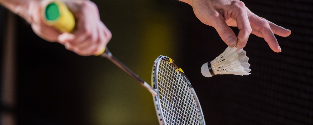 badminton Image