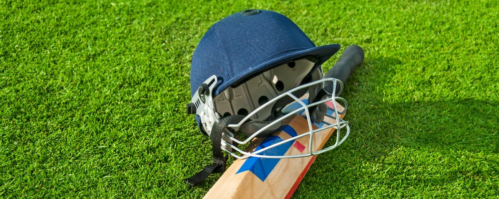 cricket Image
