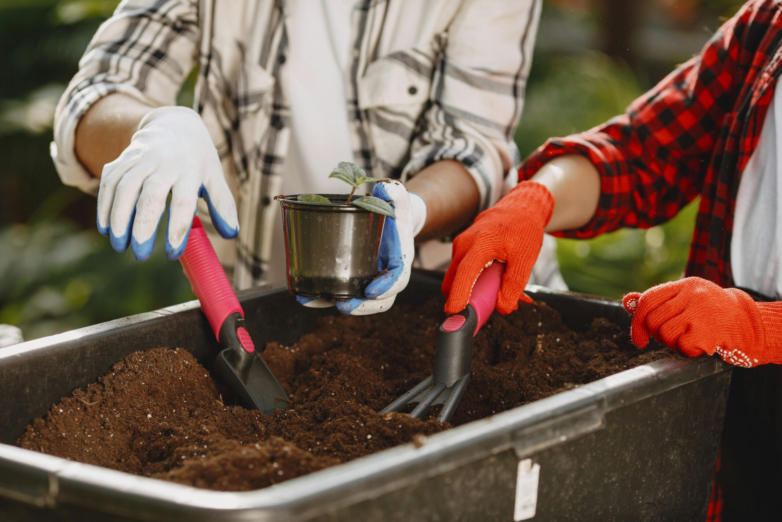 Student-gardening-scaled.jpg