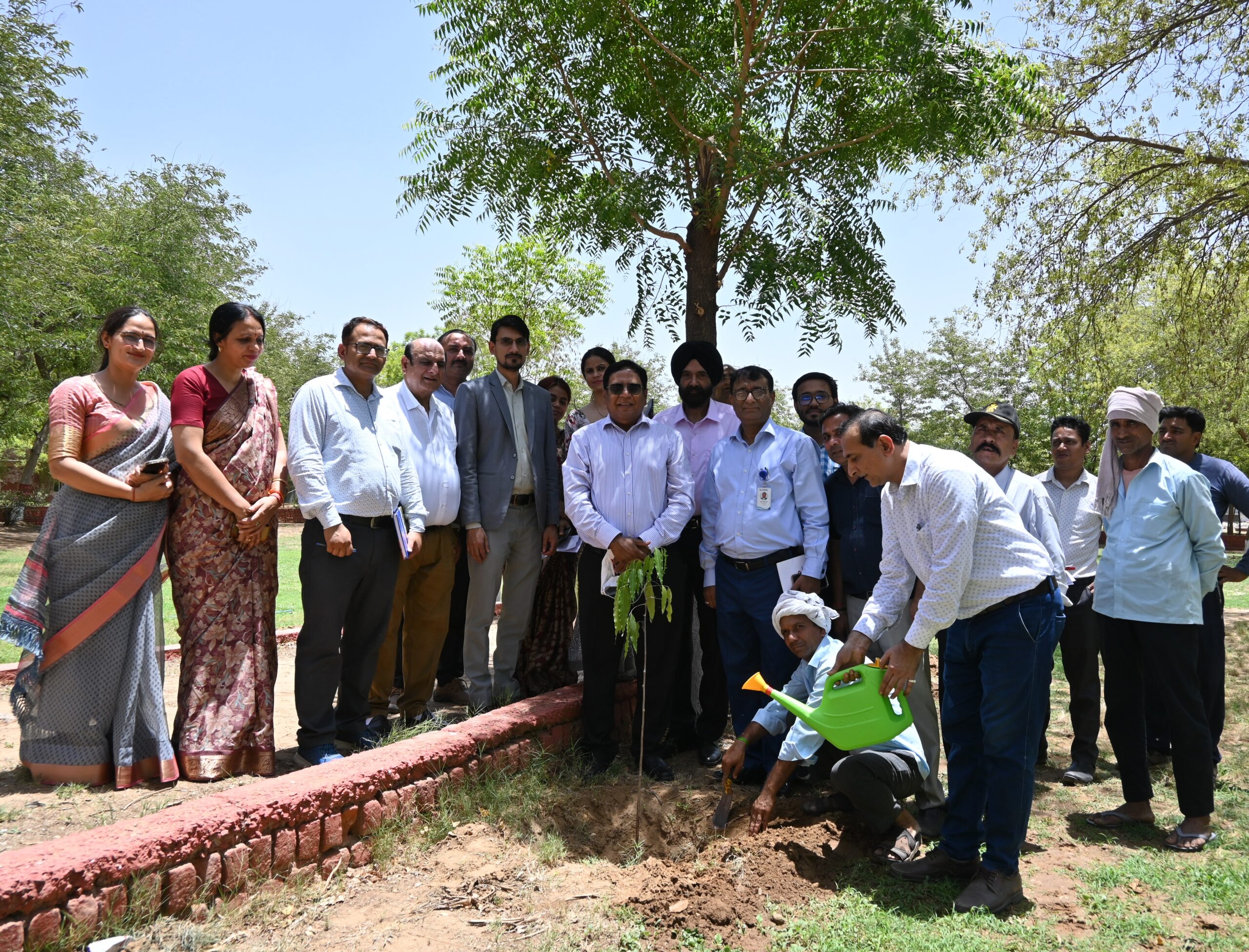 Tree-plantation-scaled.jpg